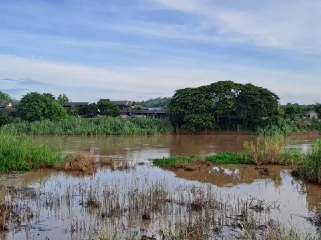 ติดทางหลวงติดแม่น้ำปิง เจ้าของขายเองสวนมะม่วงสวนลำไย