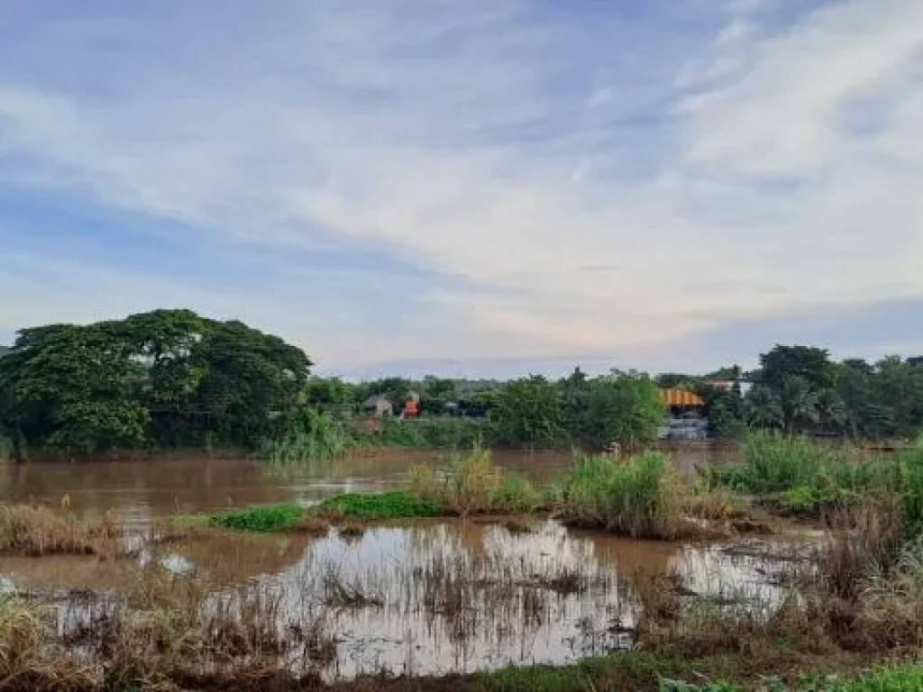 ติดทางหลวงติดแม่น้ำปิง เจ้าของขายเองสวนมะม่วงสวนลำไย