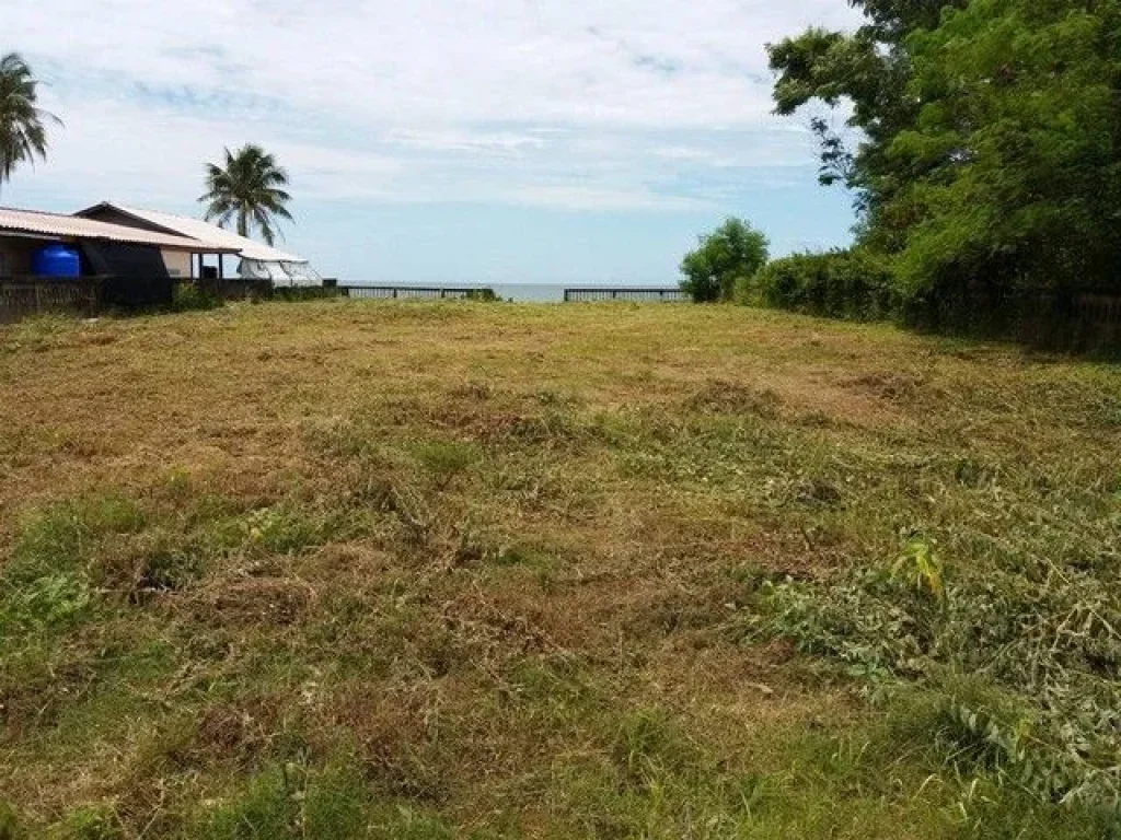 ที่ติดทะเลทำเขื่อนรอบแล้ว ลงหาดส่วนตัวได้เลยริมชายหาดติดทะเล