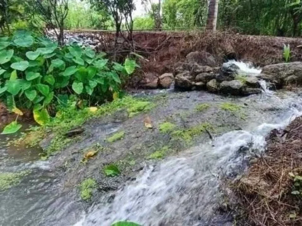 ขายด่วน บ้านไม้ทรงไทย ติดลำธาร วิวภูเขาสวย รหัสทรัพย์