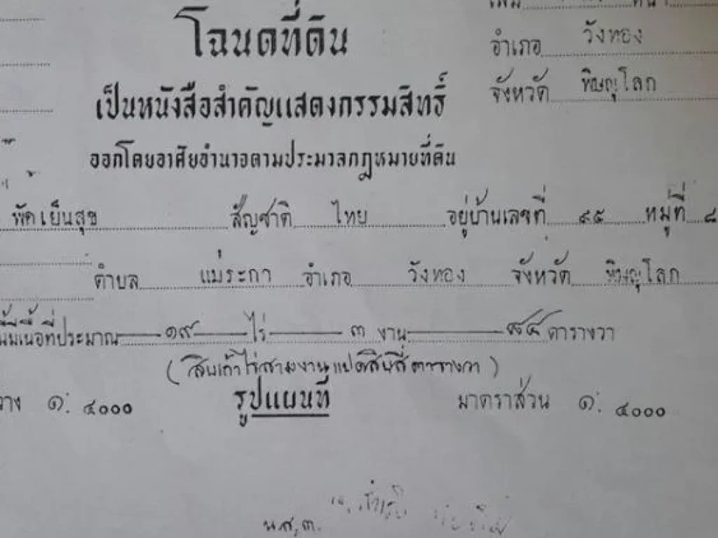 ขายที่ดิน 19 ไร่กว่า ตแม่ระกา อวังทอง จพิษณุโลก