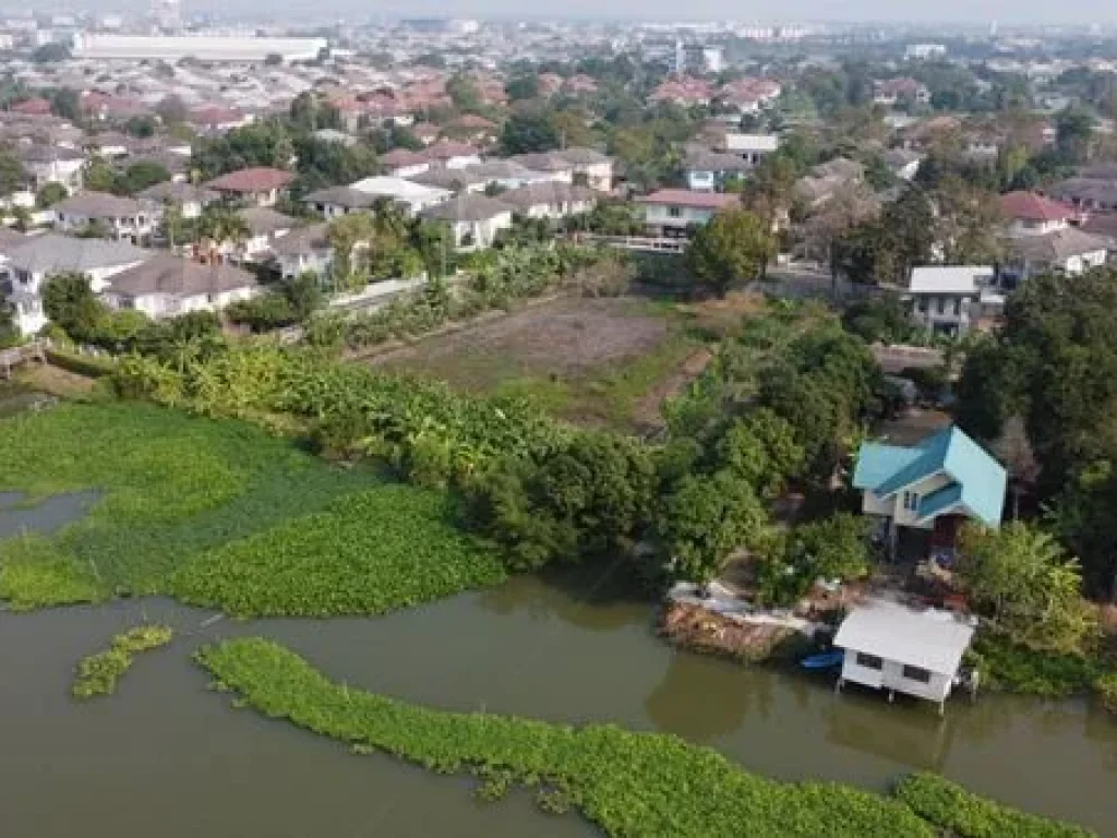 ขายที่ดินติดริมน้ำ เนื้อที่ 2 ไร่ 3 งาน 44 ตรว ในหมู่บ้าน