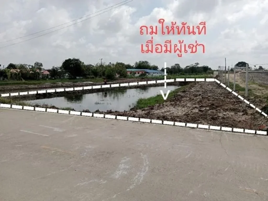 ตลาดนิคมบางปู ตำหรุ กิ่งแก้ว ให้เช่า ที่ดิน 245 ตรว