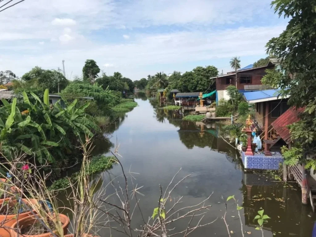 ขาย ที่ดินเปล่าติดคลอง 250 ตรว ซอยหน้าโรงเรียนวัดชัยฯ