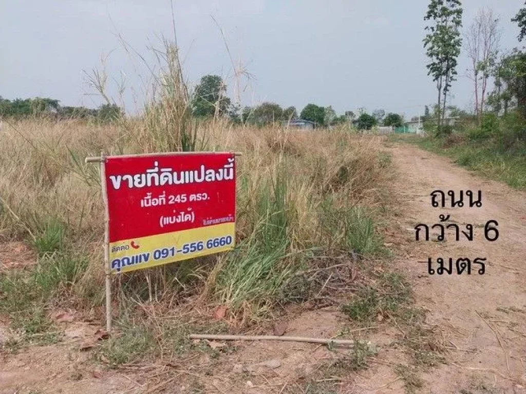 ้องการขายที่ดิน ภบท5 ในชุมชน ตำบลไชยมงคล อำเภอเมือง