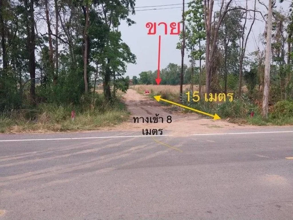 ้องการขายที่ดิน ภบท5 ในชุมชน ตำบลไชยมงคล อำเภอเมือง