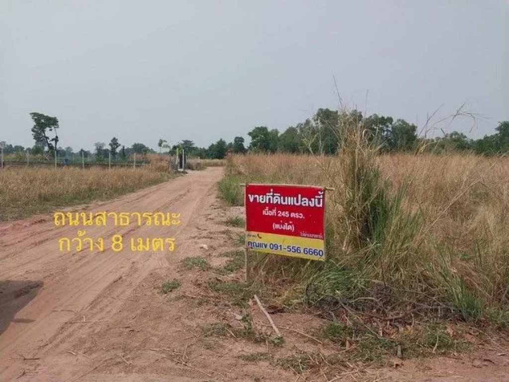 ้องการขายที่ดิน ภบท5 ในชุมชน ตำบลไชยมงคล อำเภอเมือง