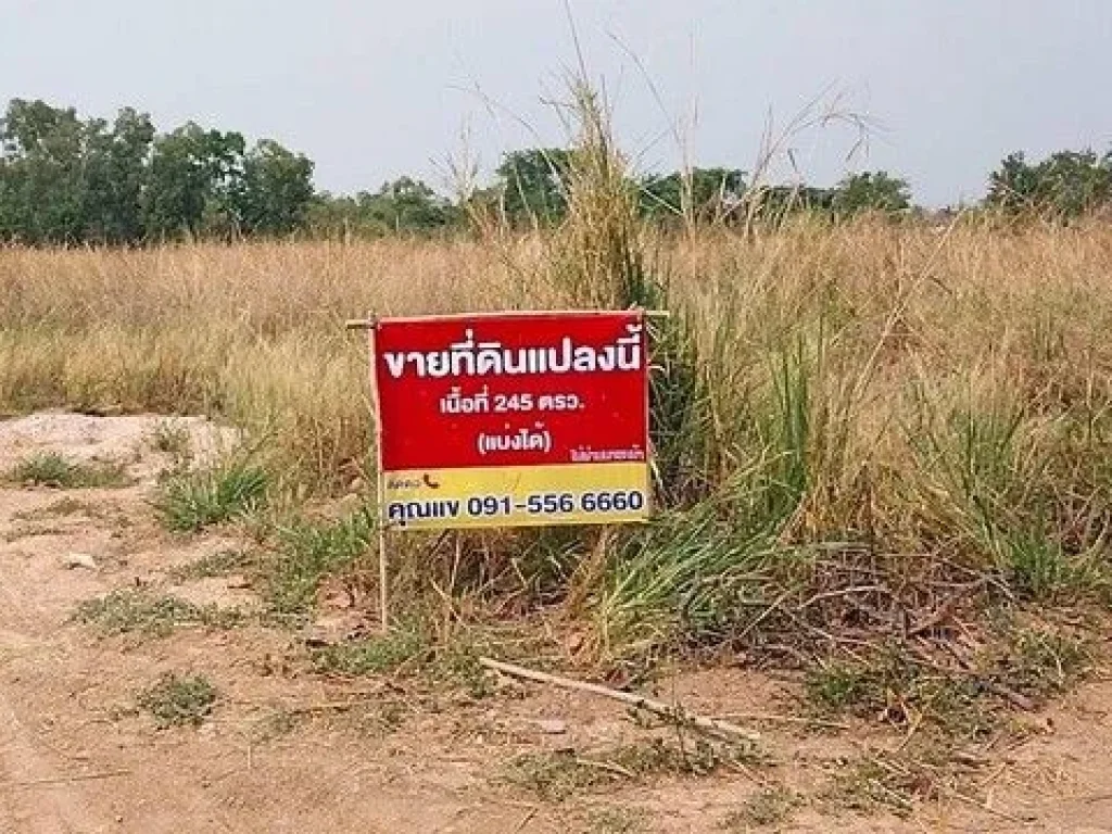 ้องการขายที่ดิน ภบท5 ในชุมชน ตำบลไชยมงคล อำเภอเมือง