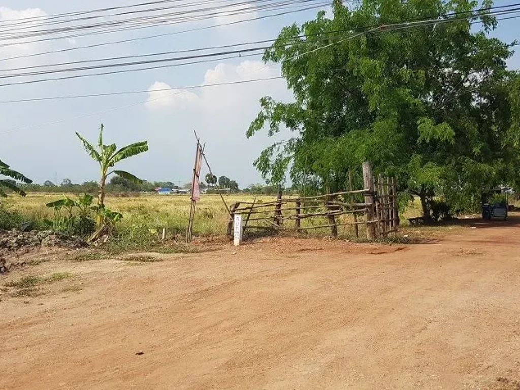 ขายที่ดิน 123 ไร่ แปลงสวยติดถนนใหญ่ ถนนสุวินทวงศ์