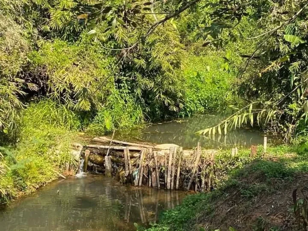 ขายที่สวนดอยสะเก็ตติดลำห้วยติดวิวภูเขาโฉนดชุมชนราคาถูก