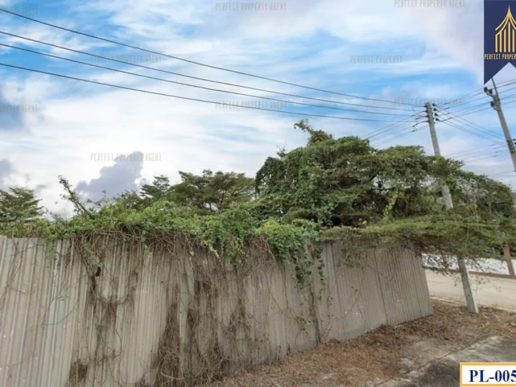 ที่ดิน ในโครงการบ้านจัดสรร พิเชฐพัชร เดินทางสะดวกสะบายเหมาะส