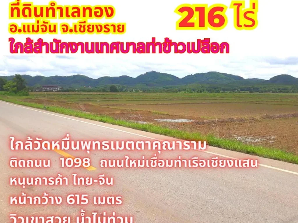 ขายที่ดินเชียงราย แม่จัน 216 ไร่ ใกล้สำนักงานเทศบาลท่าข้าวเป