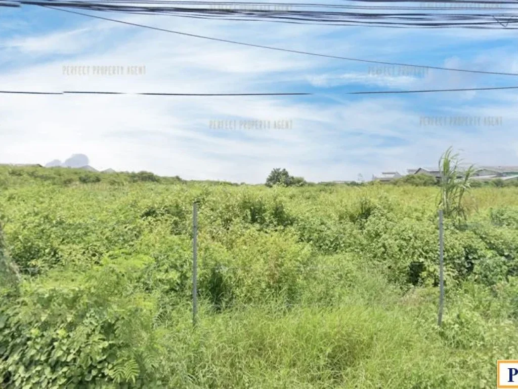 ที่ดิน พระสมุทรเจดีย์ ขนาด 17 ไร่ ย่านอุตสาหกรรมเดินทางสะดวก