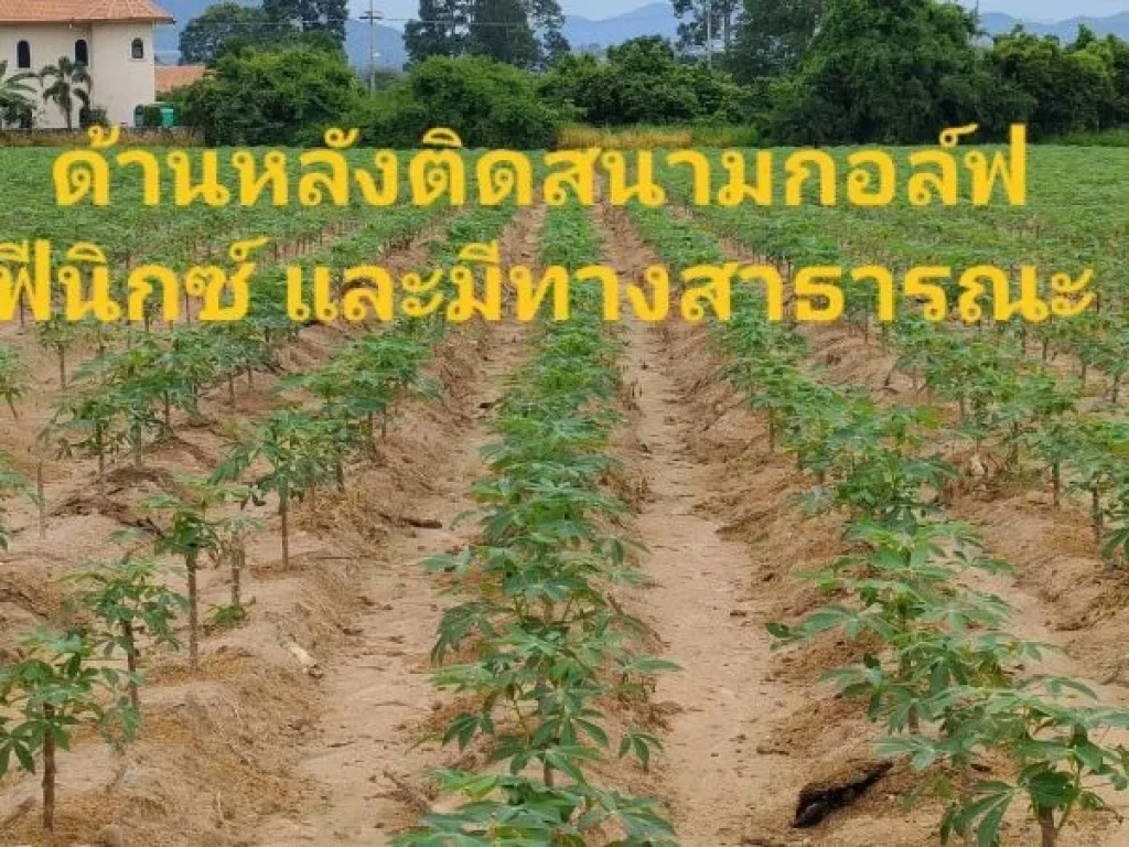 ขายที่ดิน 56 ไร่ ติดสนามกอล์ฟ ทำเลเหมาะทำโครงการจัดสรร