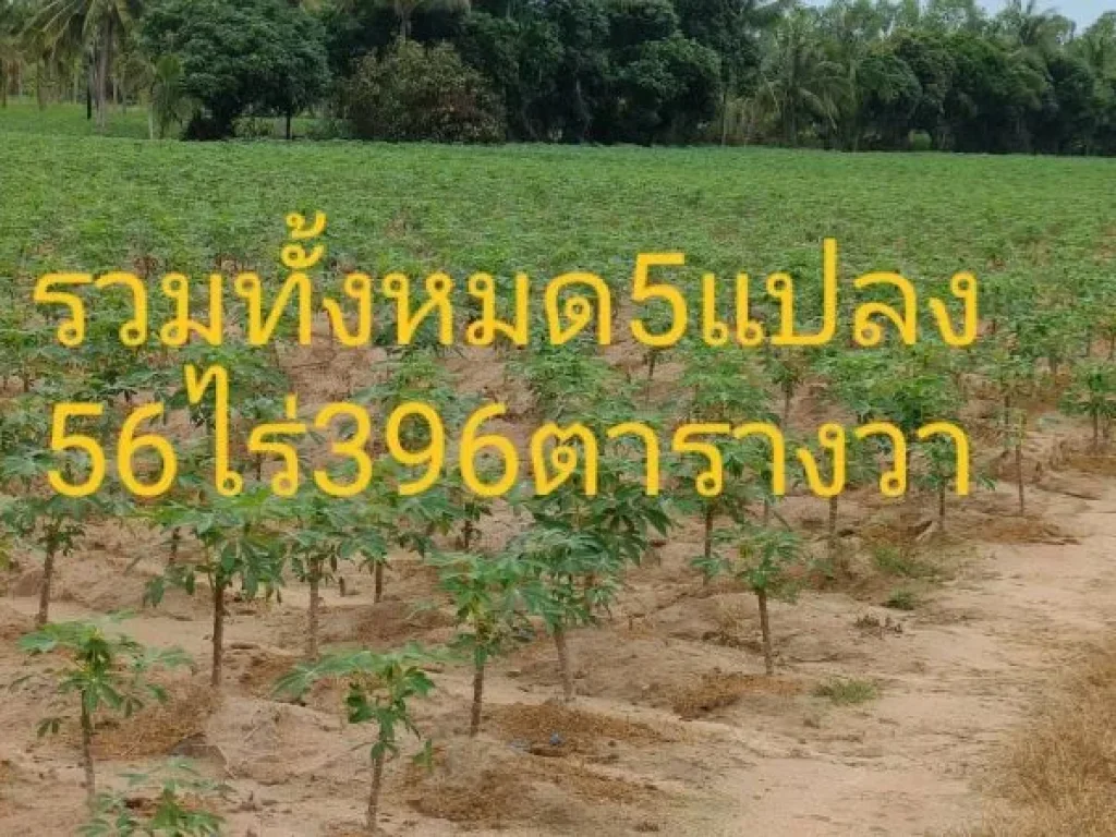 ขายที่ดิน 56 ไร่ ติดสนามกอล์ฟ ทำเลเหมาะทำโครงการจัดสรร