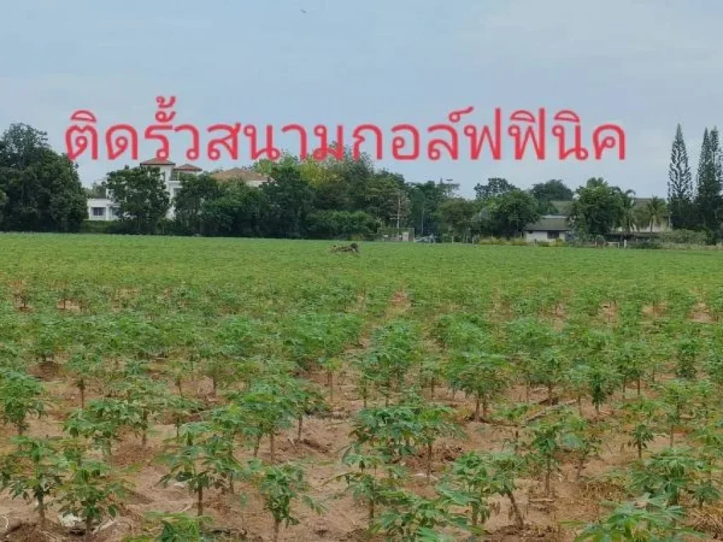 ขายที่ดิน 56 ไร่ ติดสนามกอล์ฟ ทำเลเหมาะทำโครงการจัดสรร