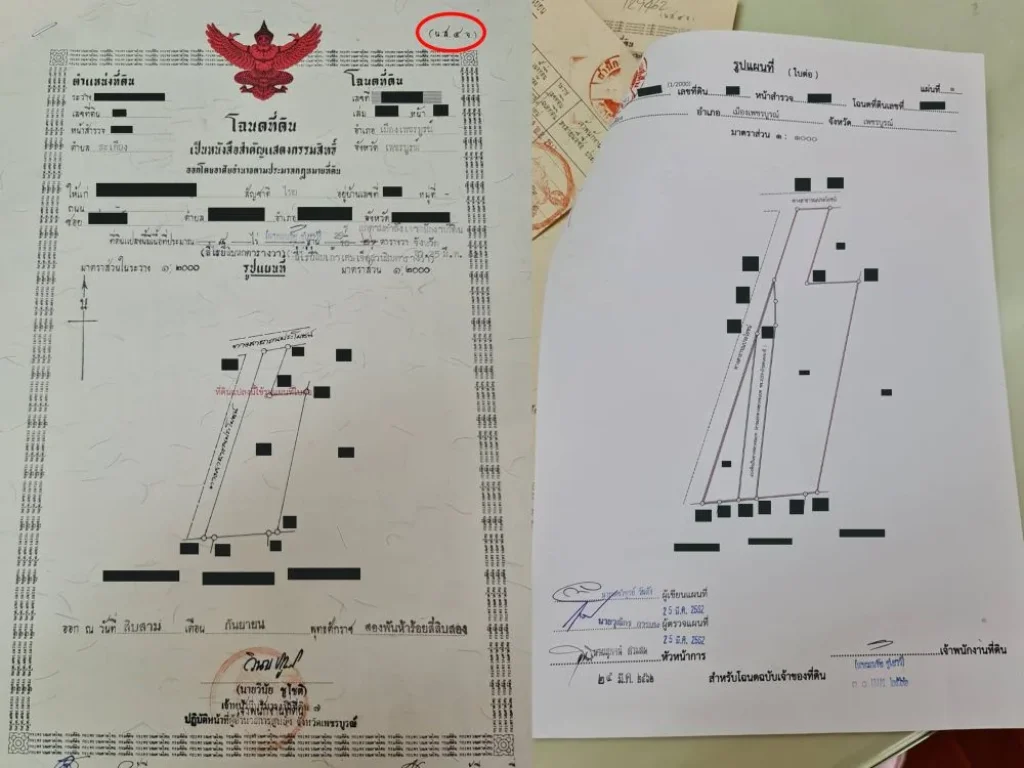 ขายที่ดินสวย เมืองเพชรบูรณ์ ใกล้ถนน Bypass 18 กม ขนาด 21