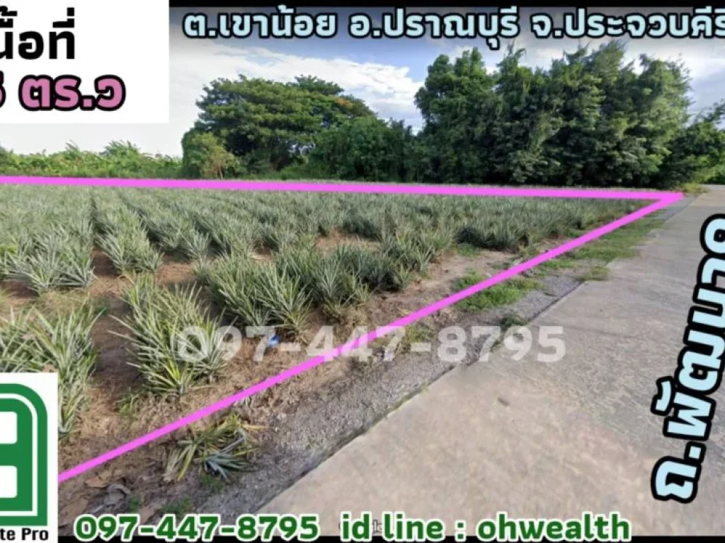 ขายที่ดินเปล่า ถพัฒนา9 อปราณบุรี ใกล้โลตัสปราณ