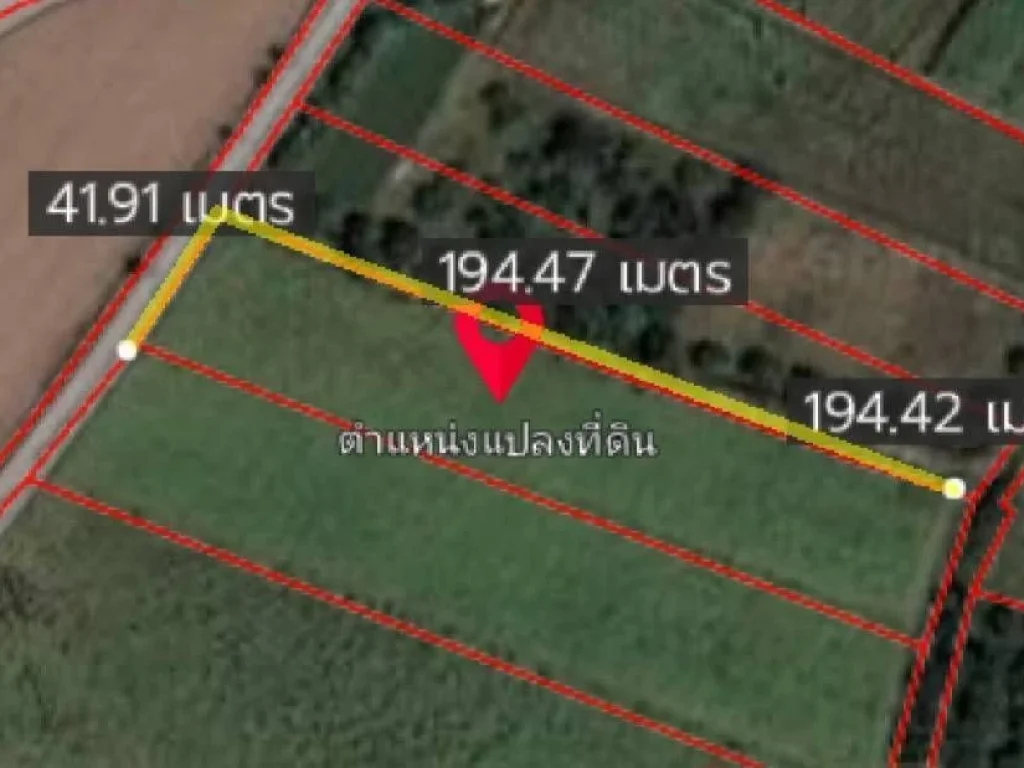 ขายที่ดิน 4 ไร่ 3 งาน 72 ตรว ตหนองกลางนา อเมือง ราชบุรี