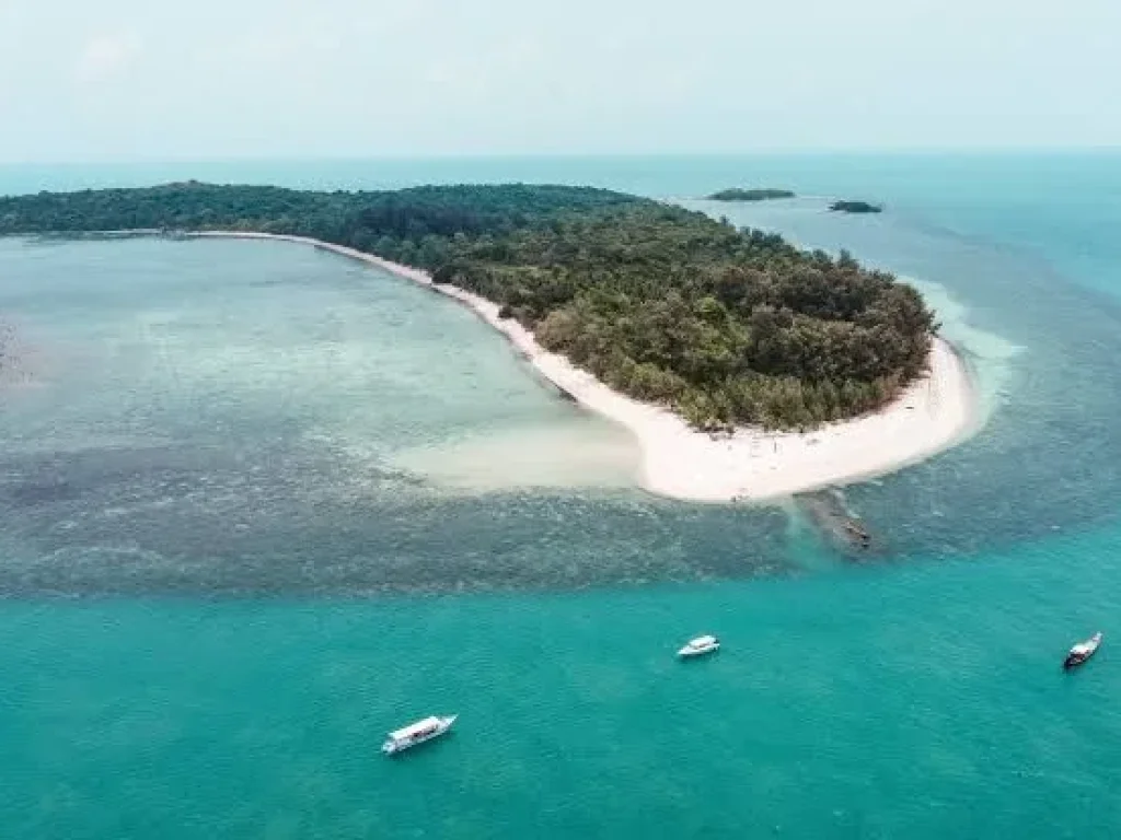 ขายที่ดินติดทะเลบนเกาะส่วนตัว เกาะราบ สมุย ที่ดินแปลงสวย