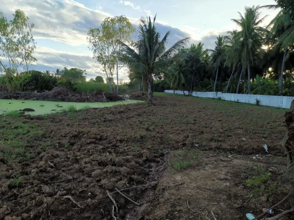 ที่ดิน วิวสวย น้ำสะดวก ถนนรอบ เดินทางสดวก