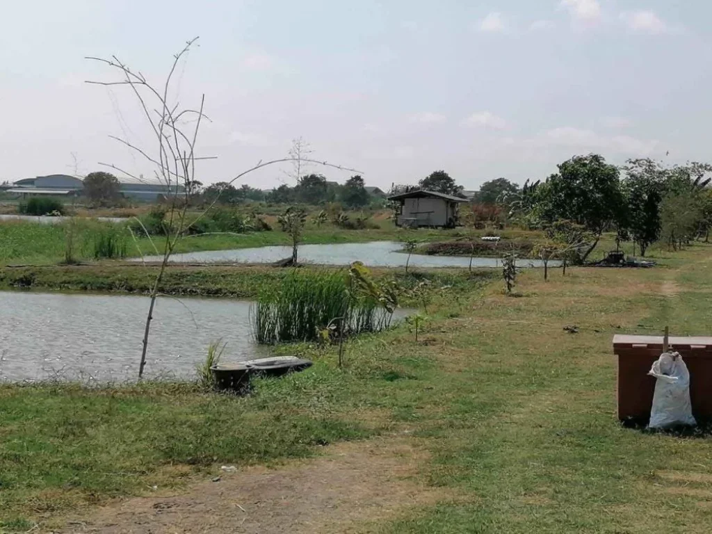 ขายที่ดินติดคลองบางกระอี่ บรรยากาศดี ธรรมชาติ