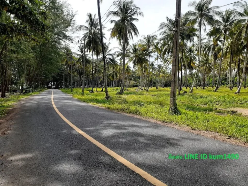 ขายที่ดินติดชายหาดริมทะเลที่สวยมากวิวพระอาทิตย์ตกดิน