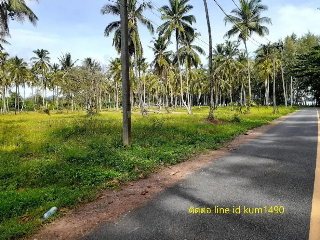 ขายที่ดินติดชายหาดริมทะเลที่สวยมากวิวพระอาทิตย์ตกดิน