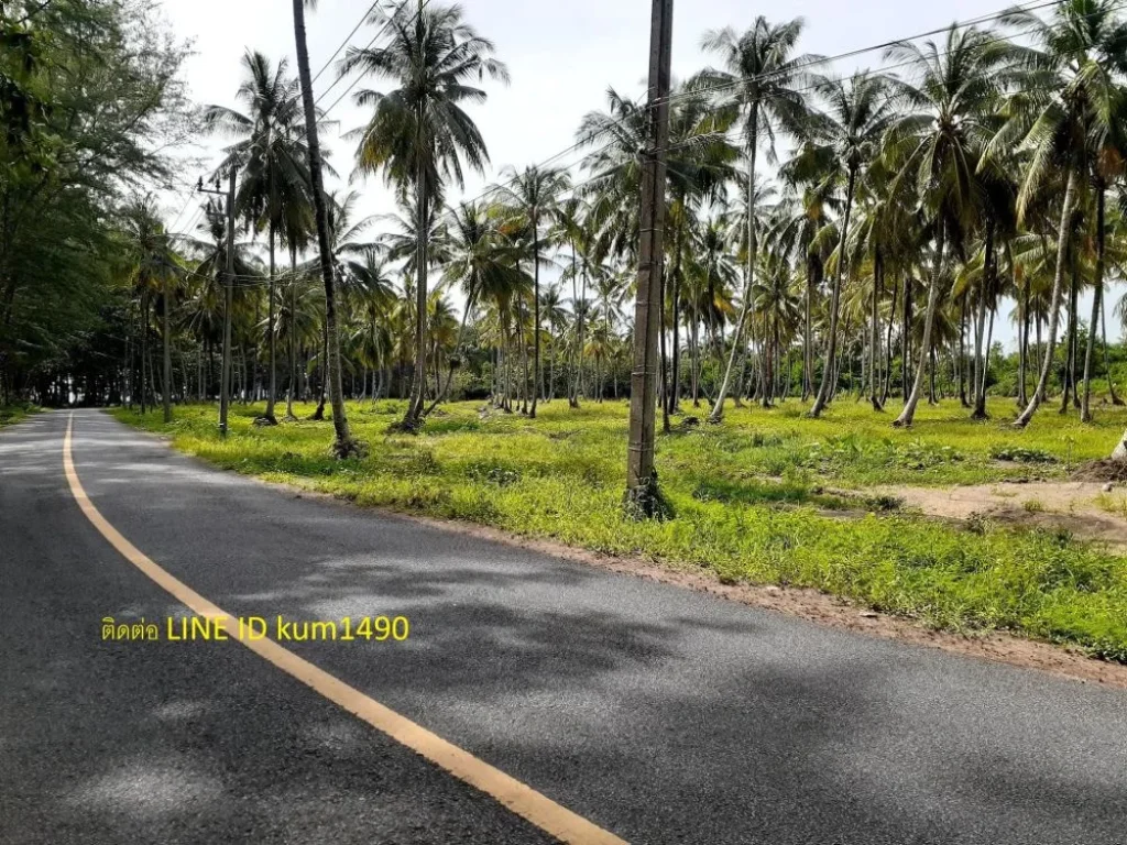 ขายที่ดินติดชายหาดริมทะเลที่สวยมากวิวพระอาทิตย์ตกดิน