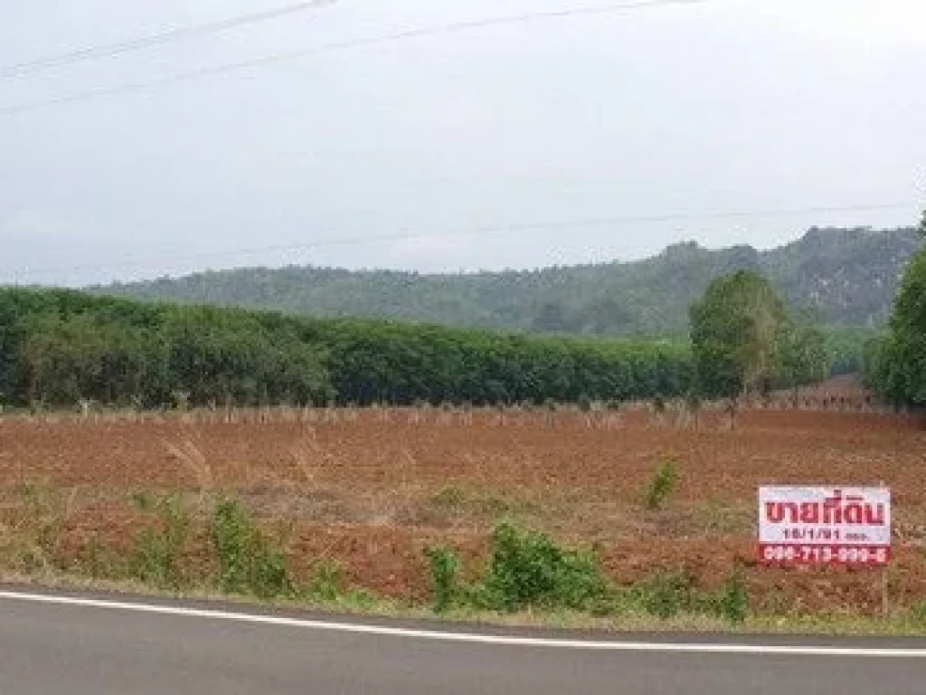 ขายที่ดินอำเภอไทรโยค วิวภูเขา เป็นโฉนดครุฑแดงอไทรโยค