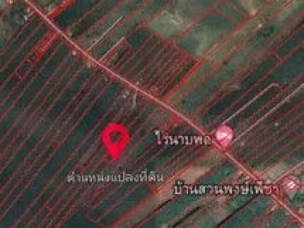 ขายที่ดินอำเภอไทรโยค วิวภูเขา เป็นโฉนดครุฑแดงอไทรโยค