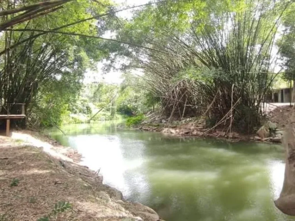 ขายที่ติดน้ำลำตะคอง ที่ริมน้ำ ใกล้ธนะรัชต์ 1ไร่ 3งาน