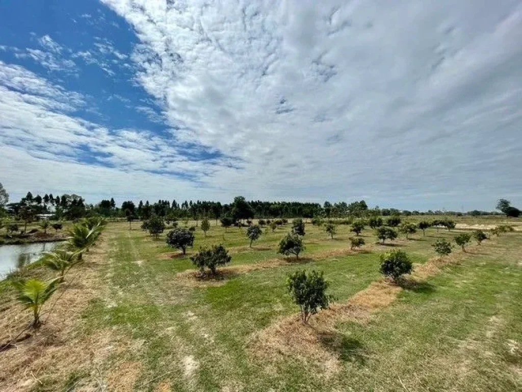 ขายที่ดิน บ้านและสวน พร้อมโอน ในอำเภอบ้านนา นครนายก ทำเลดี