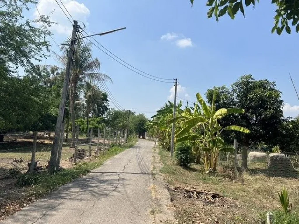 ขายที่ดินถมแล้วติดถนน ตำบลบางแก้ว อำเภอโพธาราม จังหวัดราชบุรี