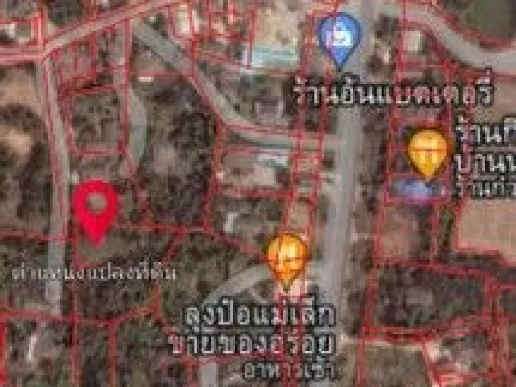 ขายที่ดินถมแล้วติดถนน ตำบลบางแก้ว อำเภอโพธาราม จังหวัดราชบุรี