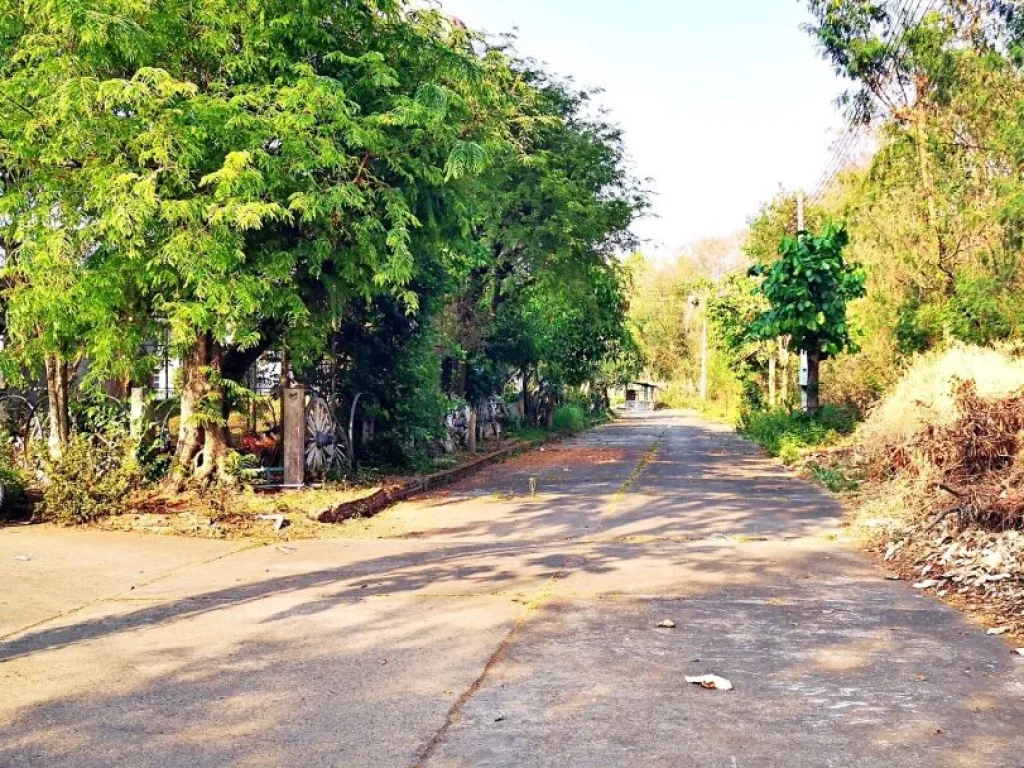 ขายที่ดินจัดสรรเก่า ถนนสันกำแพงสายเก่า ใกล้ดีญ่า วาเล่ย์