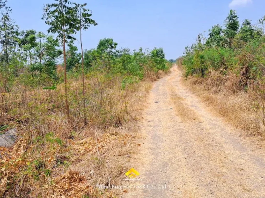 ที่ดินเปล่า แปลงสวย บรรยากาศเงียบสงบ มะนาวหวาน พัฒนานิคม