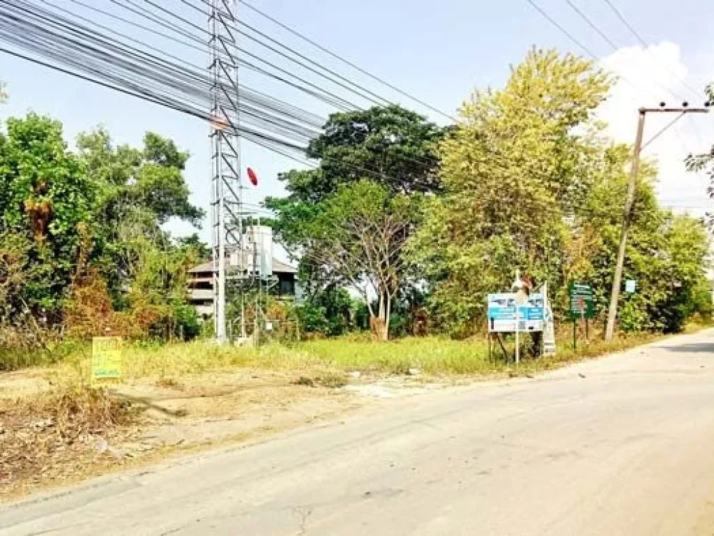 ขายที่ดิน โซนข่วงสันกำแพง ใกล้วัดสันกำแพงหลวง อยู่ในย่านชุมชน