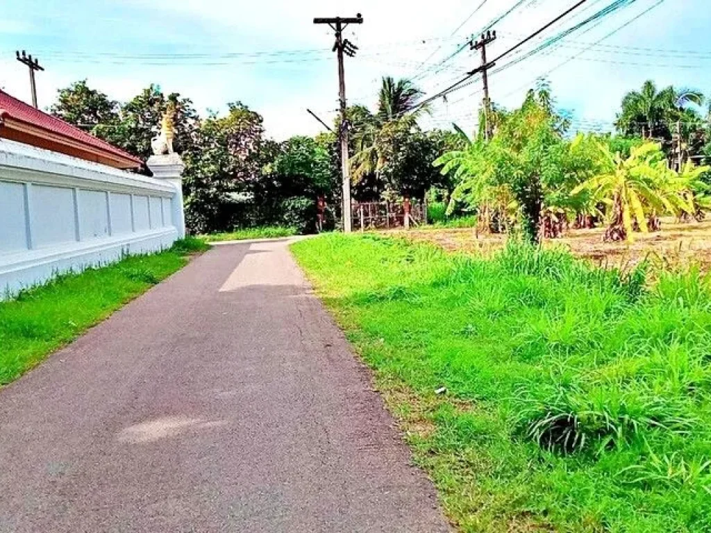 ขายที่ดิน โซนข่วงสันกำแพง ใกล้วัดสันกำแพงหลวง อยู่ในย่านชุมชน