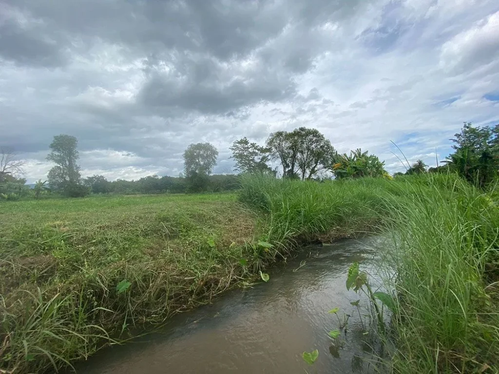 ขายที่ดิน แม่แตง เชียงใหม่ ติดน้ำ มีน้ำเหมืองล้อม ภูเขา