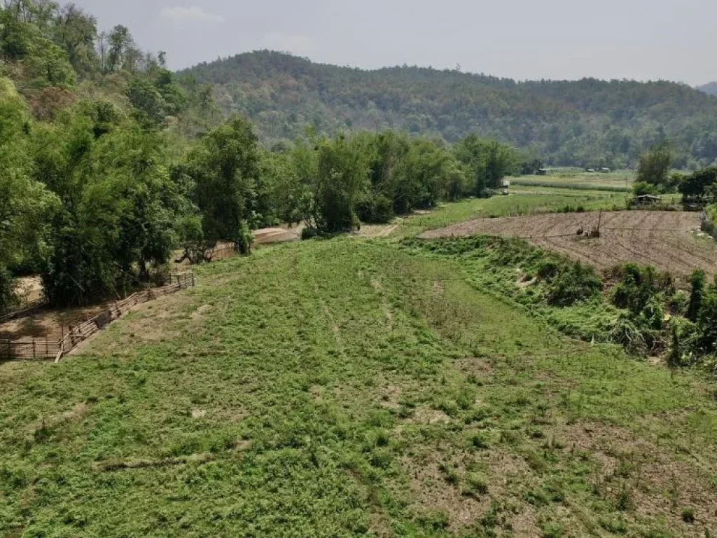 ขายที่ดินติดน้ำ เชียงใหม่ บรรยากาศดีมากครับแม่น้ำสายหลักไหลท