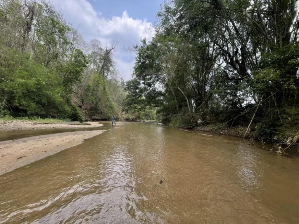 ขายที่ดินติดน้ำ เชียงใหม่ บรรยากาศดีมากครับแม่น้ำสายหลักไหลท