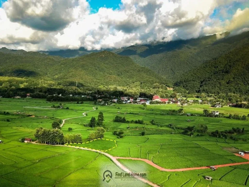 ขายที่ดิน อำเภอปัวจังหวัดน่าน วิวภูเขาดอยเด่นช้างนอน ทุ่งนา