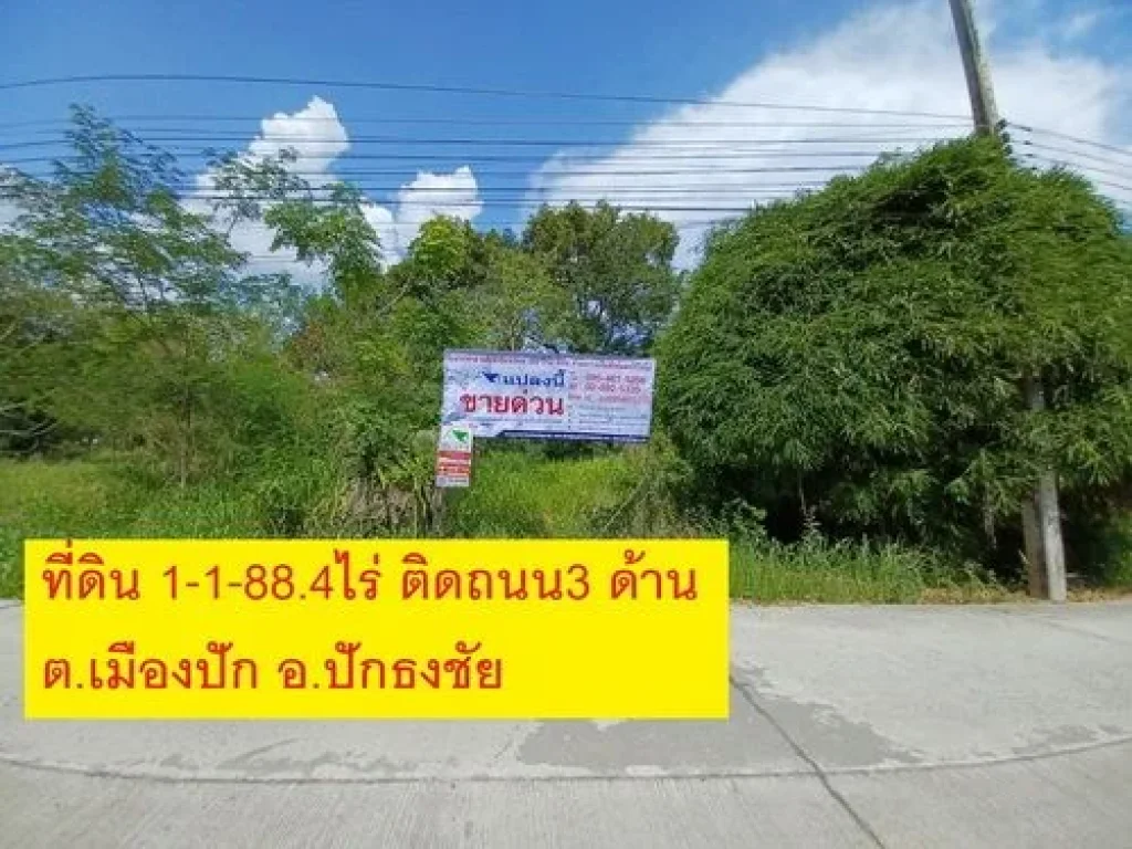 ขายที่ดินเปล่า 1-1-88 ไร่ ปักธงชัย จนครราชสีมา ทำเลดี