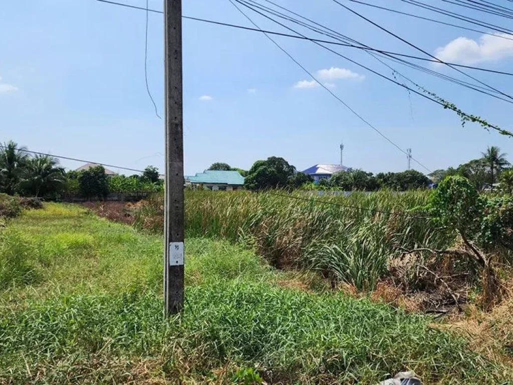 ขายที่ดินสี่เหลียมสวย 1 ไร่ 3 งาน ท่าแร้ง บางเขน กรุงเทพ