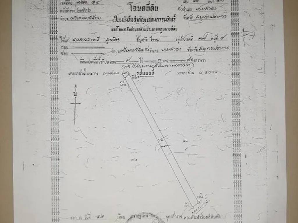 ขายที่ดิน 19 ไร่กว่า อบางเสาธง จสมุทรปราการ