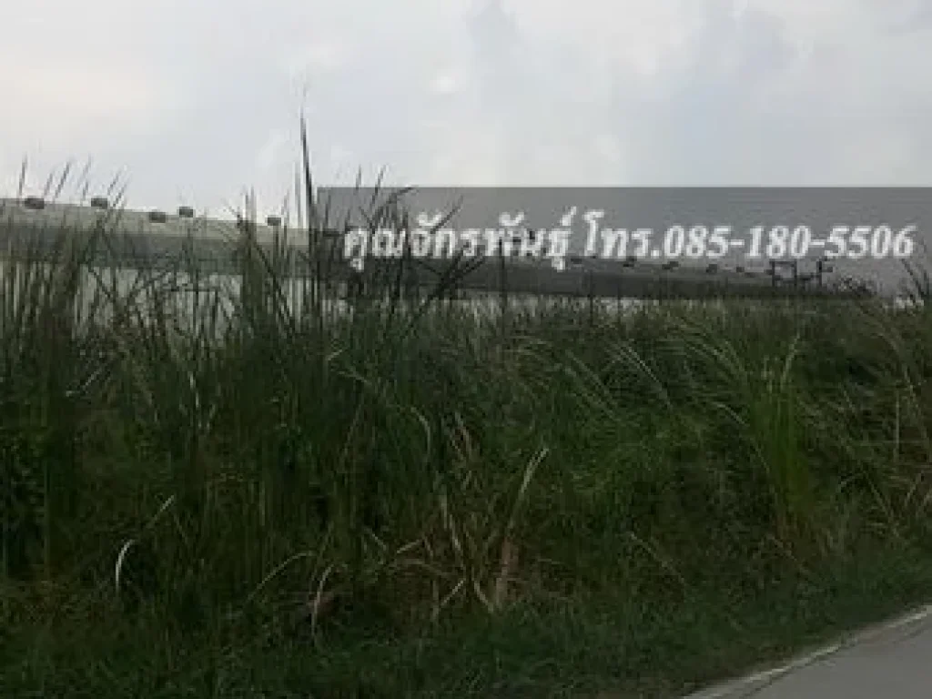 ขายที่ดินเปล่า 78 ตรว ถนนรังสิต-นครนายก ซอยบงกช32