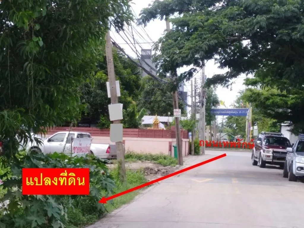 ขายที่ดิน 214 ตรวา ถนนเทพรักษ์ เขตบางเขน ถนนกว้าง