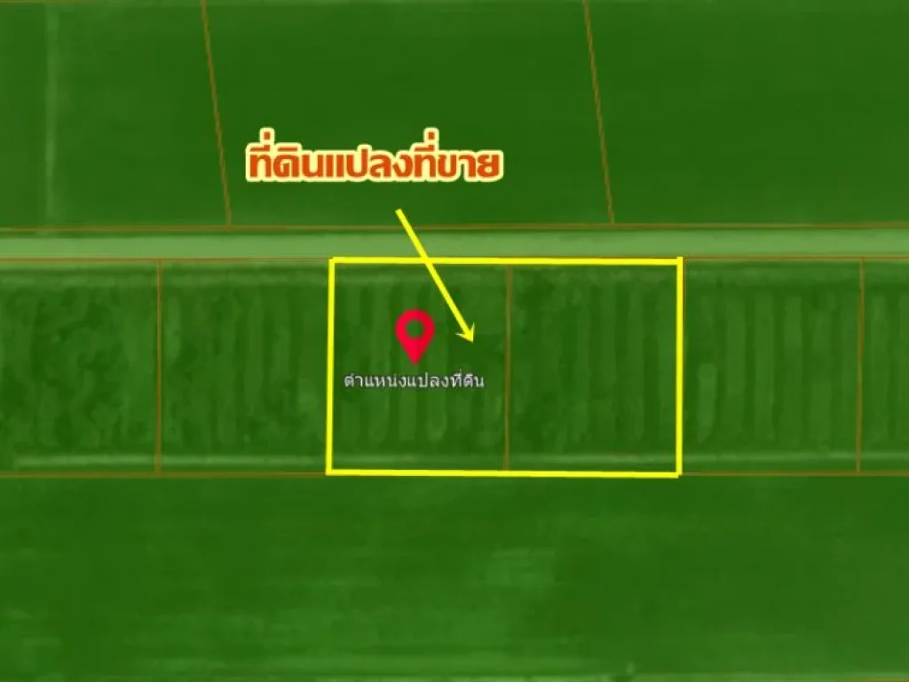 ขายที่ดิน4ไร่ ตำบลลำไทร อำเภอลำลูกกา จังหวัดปทุมธานี