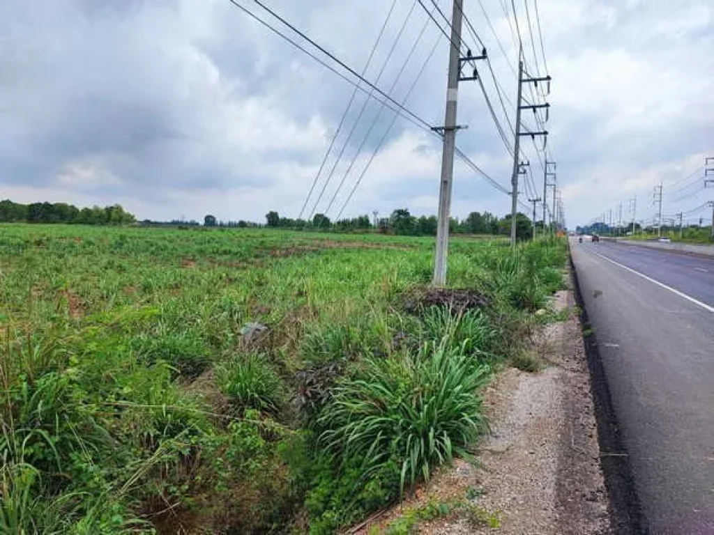 ขายที่ดินแปลงสวย ตโคกเริงรมย์ อบำเหน็จณรงค์ จชัยภูมิ